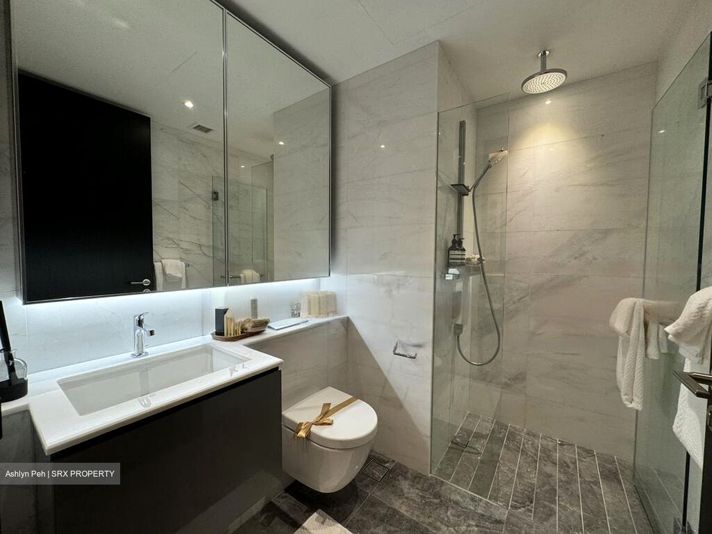 Midtown Bay (D7), Apartment #485270751